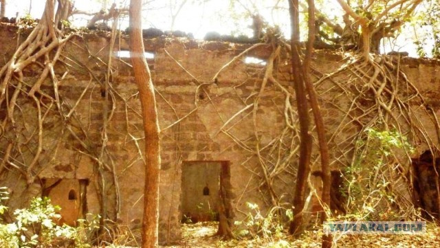 Фото отчёт о поездке в Индию.