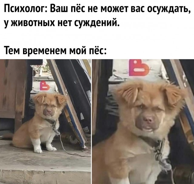 Так себе картинки 30.03.23
