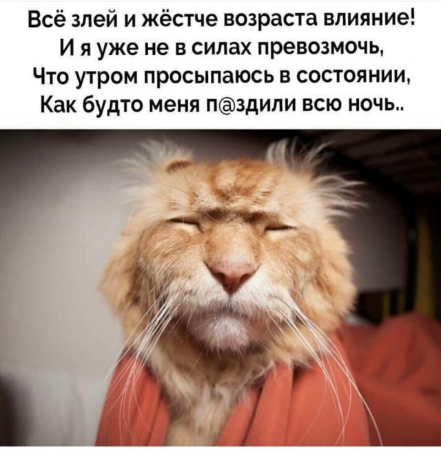48 пятнично-фривольных картинок 07.04.2023