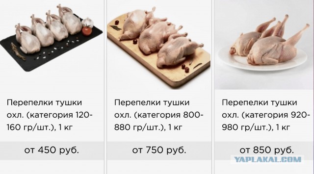 Кулинарная общалка