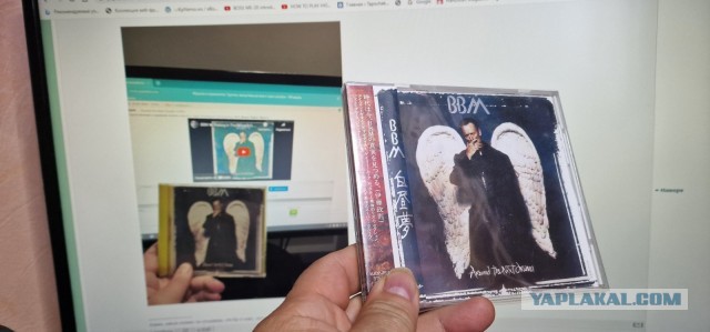 Музыка и музыканты: Группы, выпустившие всего один альбом