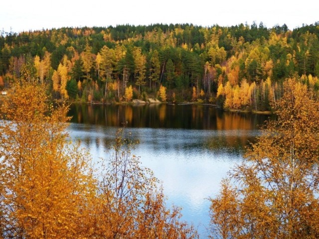 Краски осени