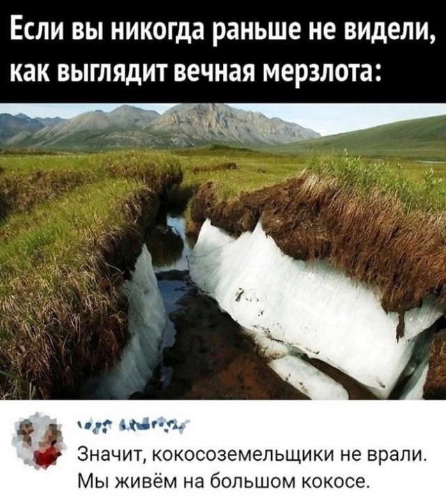 Так себе картинки 16.10.23