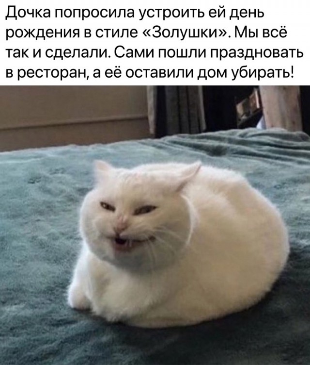 Веселые картинки