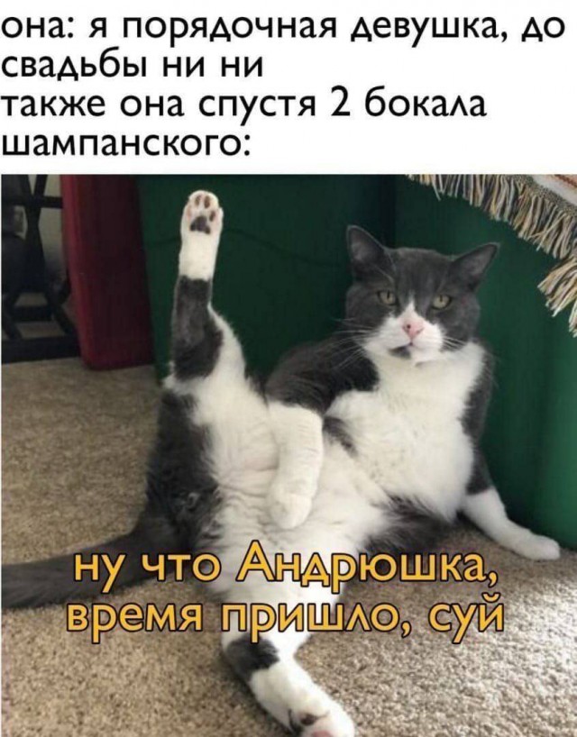 Пошло-тупые картинки