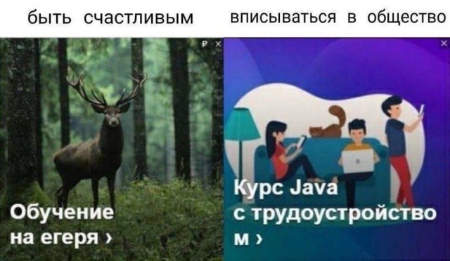 Околоайтишные мемчики