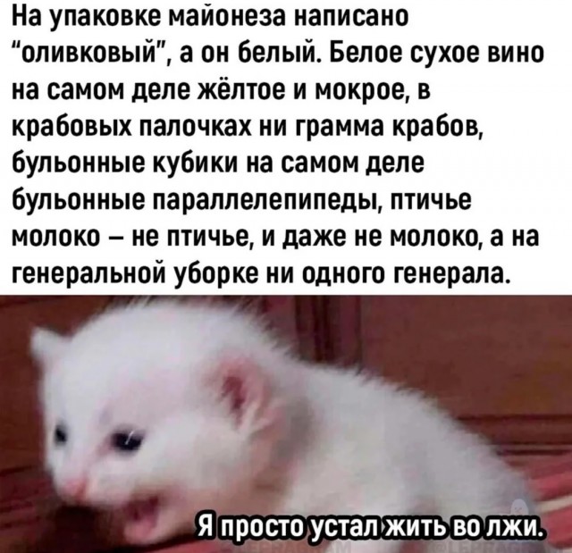 Шах и мат? Картинки разной степени глупости