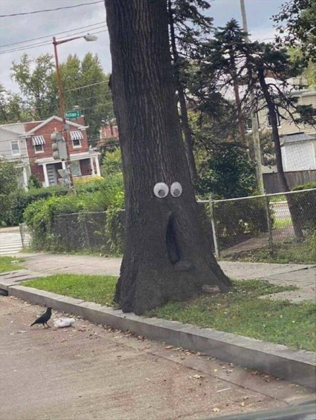 ФотоВинегрет из 50 пикч
