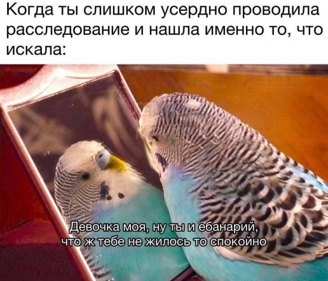 Всего понемногу. От 27.02.24