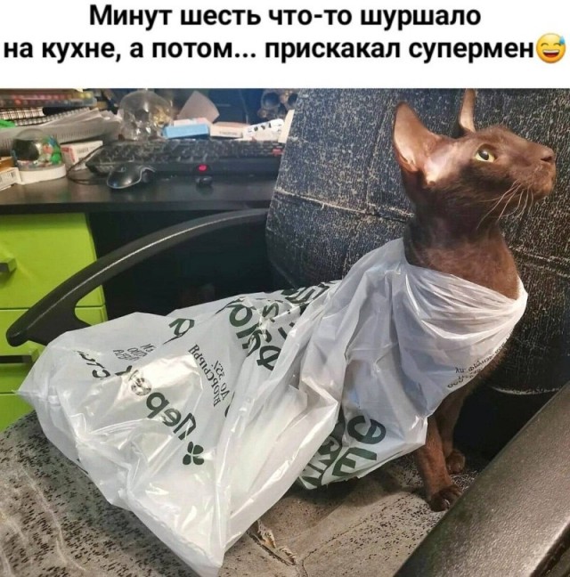 ТРРРРРидцать тРРРРРи от 22 маРРРРта!