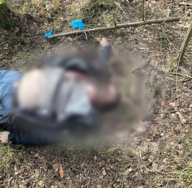 В Подмосковье введен план «Сирена» после убийства полицейского