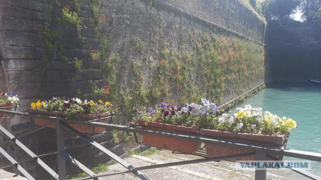 Сегодняшнее фото без затей