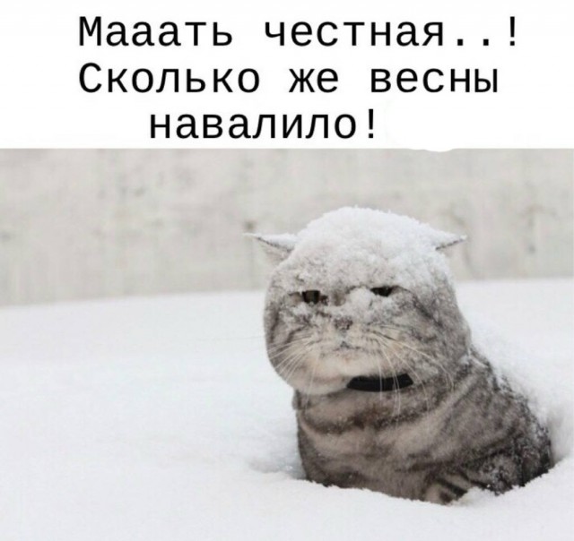 Май, ты чиво наделал?