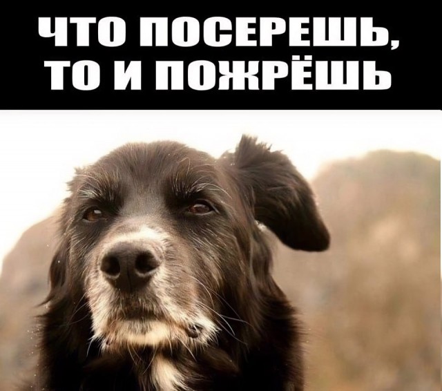 Палочке