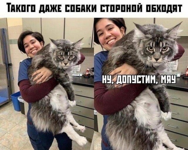 Завалялось тут случайно немного забавных картинок
