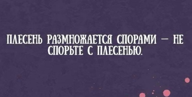 Маленькая пятница 29.01.25