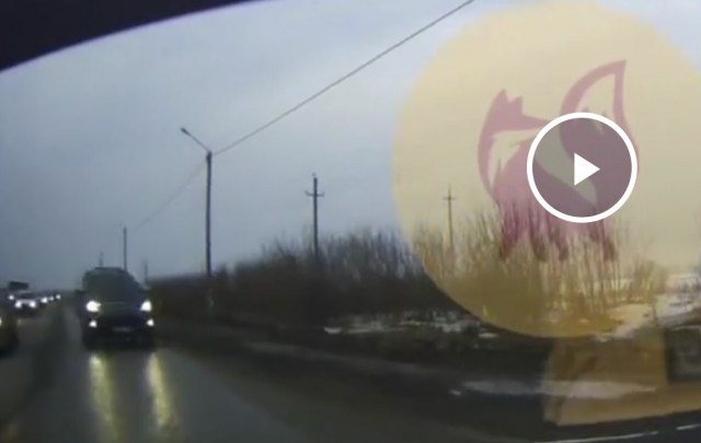 Выехала на главную