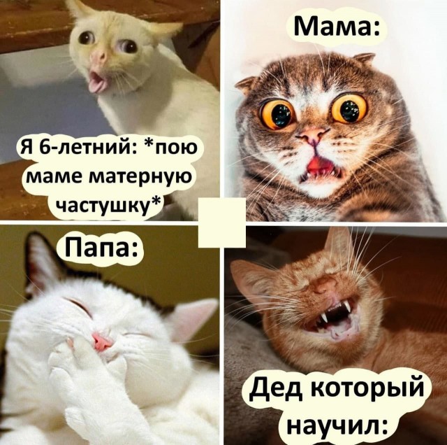 Весело с дедом