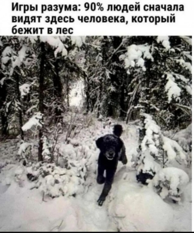 Так себе картинки 23.06.25