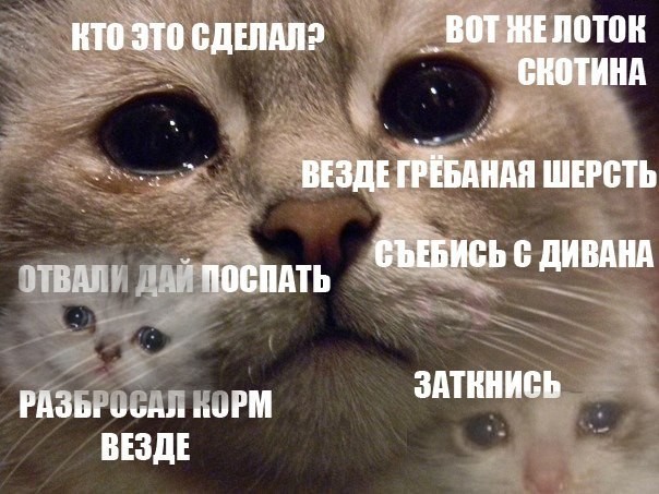 А ты живи с этим