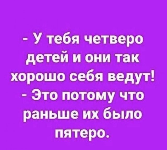 Весёлый полтишок 22.08.25