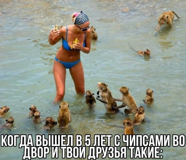 Картинки , вторник 14-е