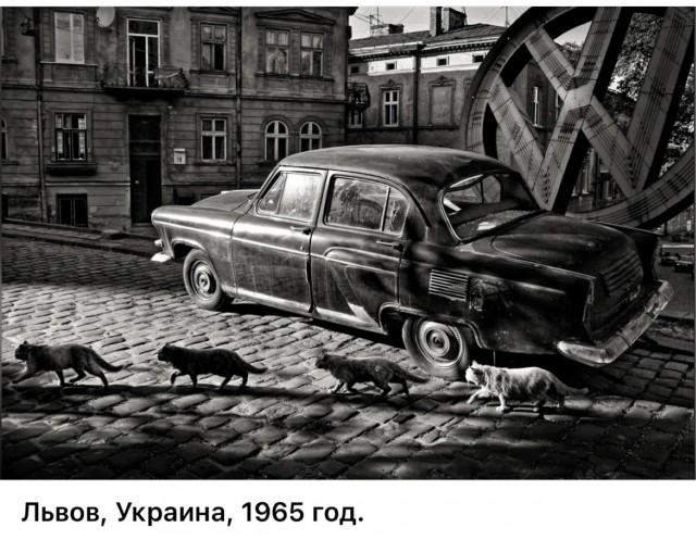 Редкие кадры и архивные снимки 15.10.25