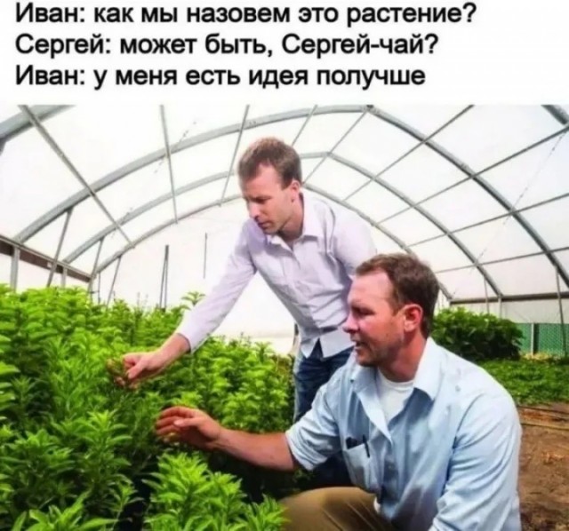 Прикольные и просто красивые картинки 12.12.2025