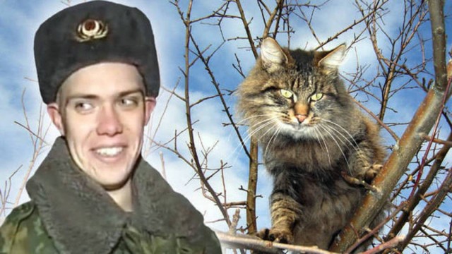 Собака-по-деревьям-залезака живёт в Зиме.