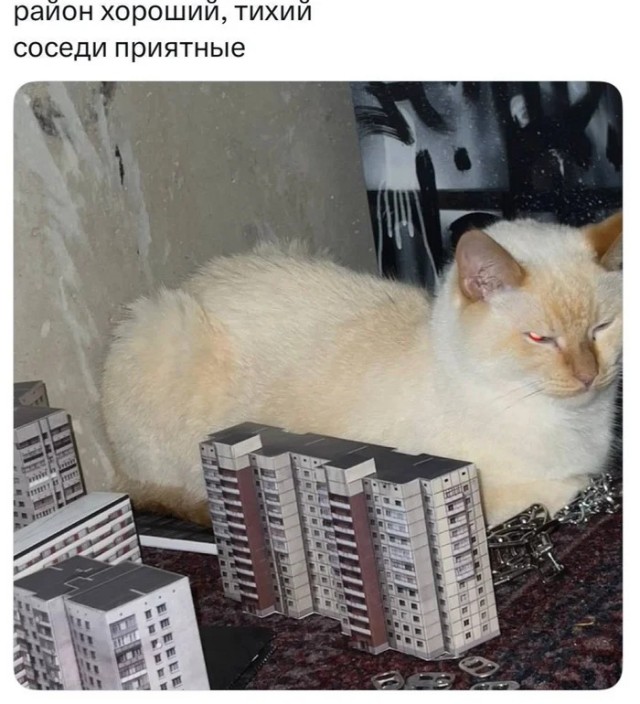 Прикольные и просто красивые картинки 06.01. 2026