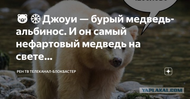 Туристы подарили местному жителю новый дом