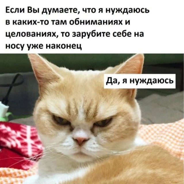 Прикольные комментарии для поднятия настроения: «Это был мой пик»