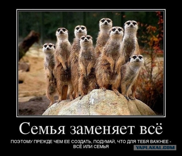 Сожительство без регистрации брака несёт угрозу безопасности страны