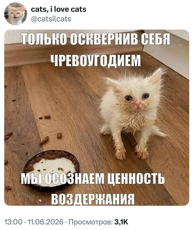 Картинки для деградации 226 (разной степени свежести)