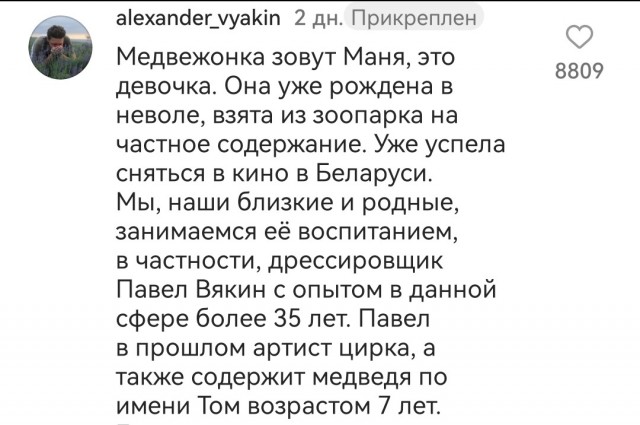 Те самые стереотипы про русских, у которых есть домашние медведи