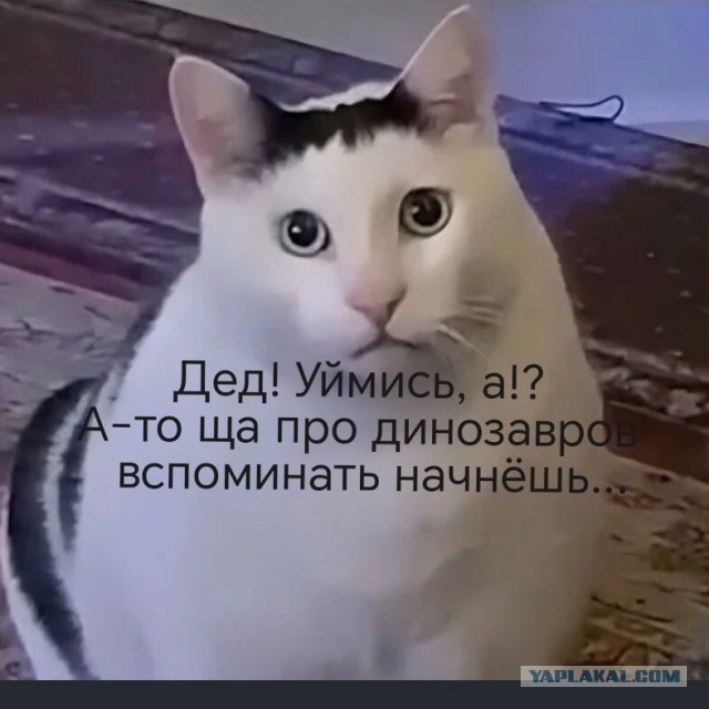 Зачем мне мужчина если он не делает мою жизнь лучше?