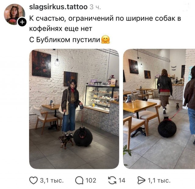Так себе картинки 12.10.26