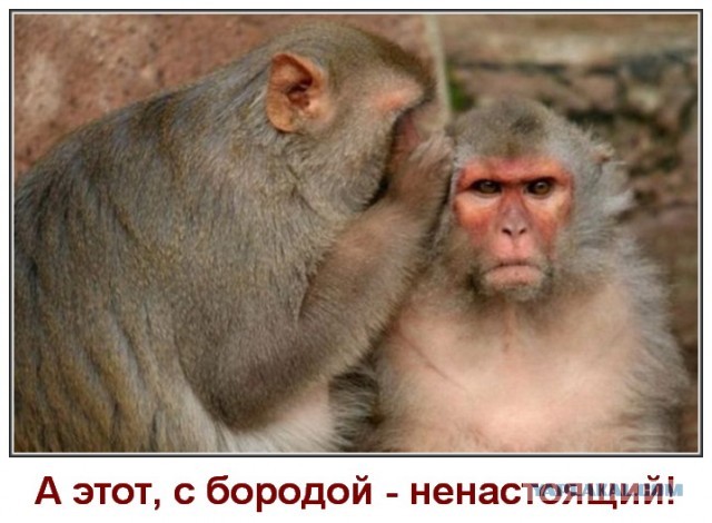 Не выкладывай на YouTube