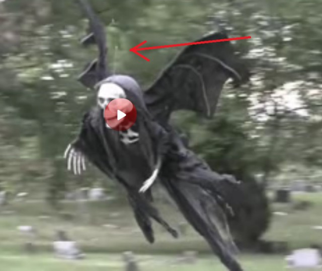 Костюмчик на Хэллоуин ...