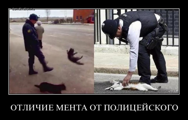 Украинская революция.