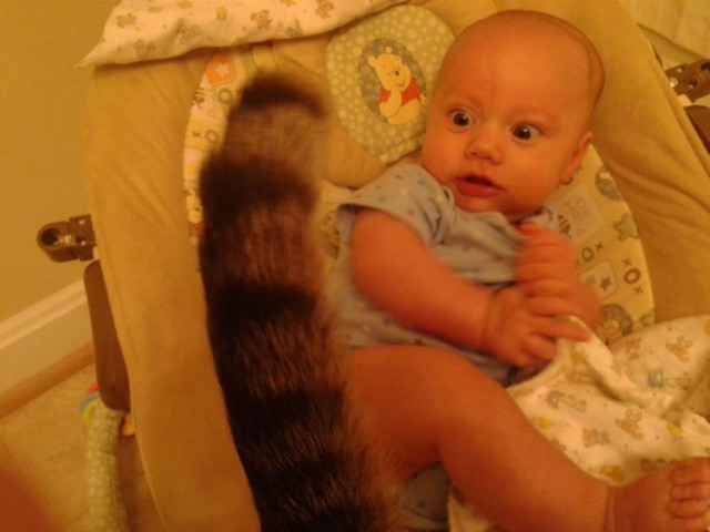 Чутка картинок