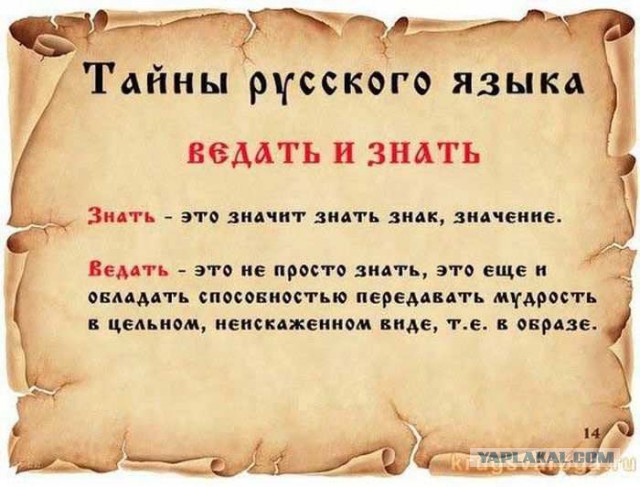 20 фактов обо всем