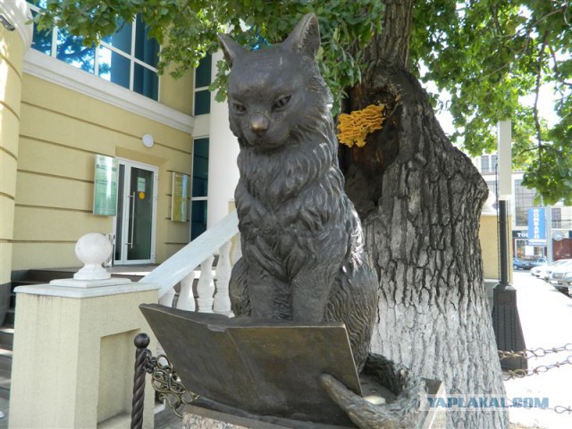 Котенок с улицы Лизюкова