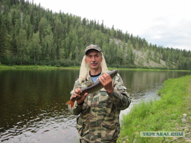 Сибирь 2015