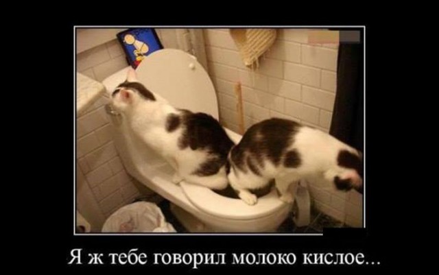 Картинки разные с интернету