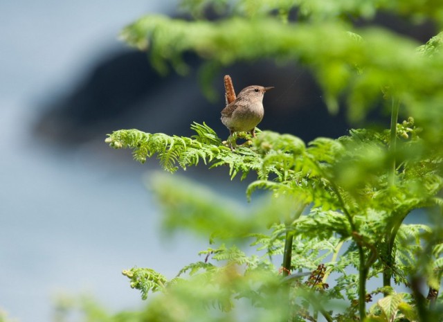 Интересная фотоподборка