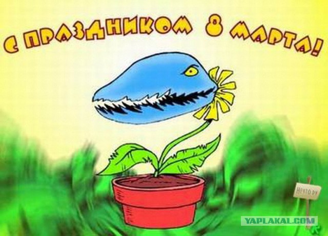 Картинки из сети