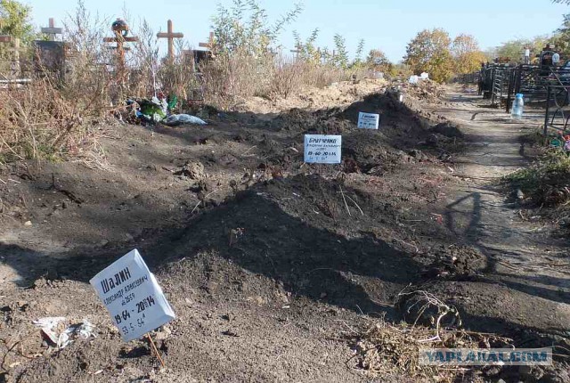 Украина, Донбасс, Крым. Я узнал правду