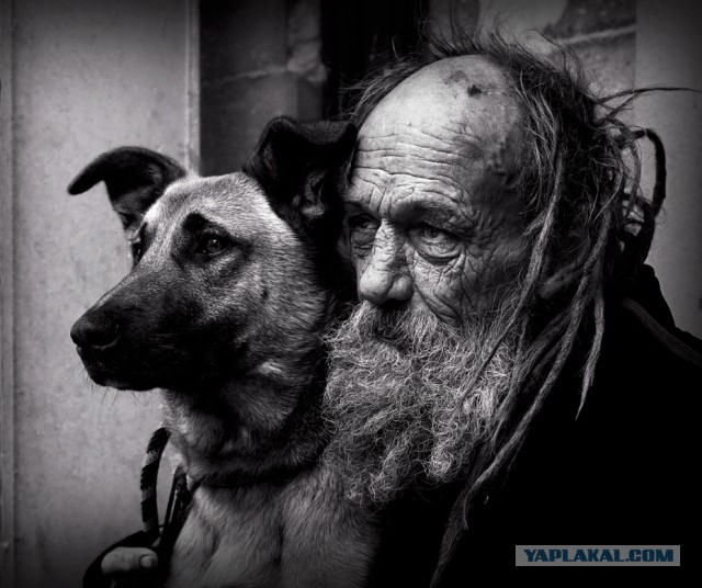 Старушка и собакен