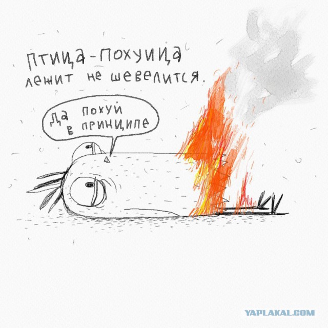 Юмор не для всех